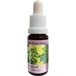 PHI Essences Срещу негативни мисли и депресия - Есенция Синап № 21, капки 15 ml (21 CLASSIC)