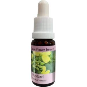 PHI Essences Срещу негативни мисли и депресия - Есенция Синап № 21, капки 15 ml (21 CLASSIC)