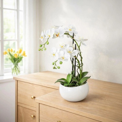 Gasper Umělá orchidej Phalaenopsis, bílá, 55 cm