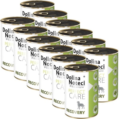 Dolina Noteci Premium Perfect Care Recovery 12 x 400 г