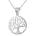 Silenti Jewelry Сребърно колие "Добрина" - Голям талисман - 2.4см
