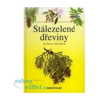 Stálezelené dřeviny