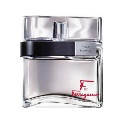 Мъжки парфюм Salvatore Ferragamo EDT F By Ferragamo Pour Homme 100 ml