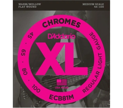 D'Addario ECB81M