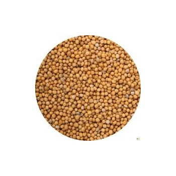 hořčice váha: 100g