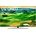 LG 55QNED81Q