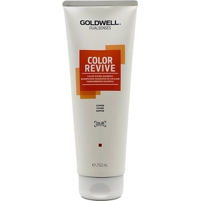 Goldwell Color Revive Šampón na oživenie farby vlasov studená hnedá 202993 250 ml