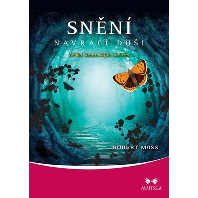 Snění navrací duši - Robert Moss