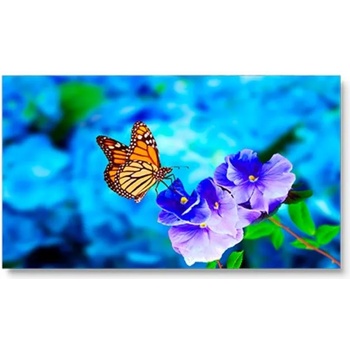 Image 1 of NEC MultiSync UN552VS (60004524)