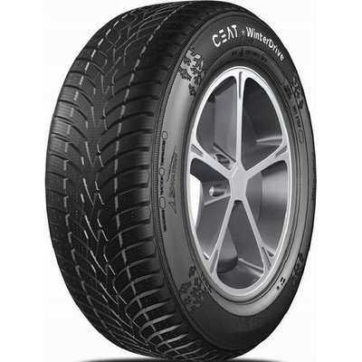 Cooper Weather Master SA2+ 205/55 R16 94V