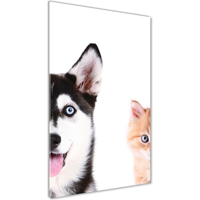 Vertikálny foto obraz sklo tvrdené Pes a mačka 50x100 cm