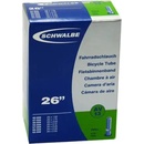 Schwalbe DV