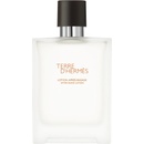 Hermès Terre d’Hermès 100 ml