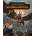 Total War: Warhammer Collection
