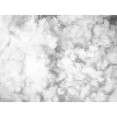TextilCentrum.cz Textil Soldán výplňové polyesterové kuličky z dutého vlákna, náplň do polštářů (cena za 1 Kg; odběr po celých baleních 11 Kg)