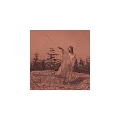 Unknown Mortal Orchestra - Ii LP