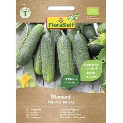 Uhorka nakladačka BIO Diamant F1 FloraSelf Bio