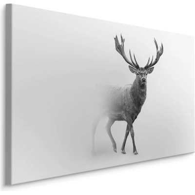 MyBestHome BOX Plátno Jelen V BW I. Varianta: 90x60