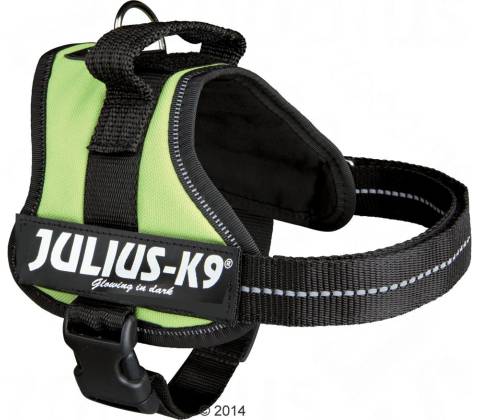 Julius K9 postroj