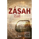 Zásah