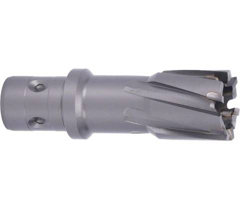 ABSE N-CA-F18-0240035