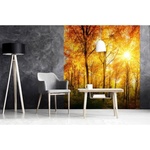 DIMEX ART Флизелинов фототапет слънчева гора 225 x 250 см