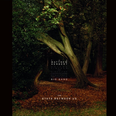 THE MATTHEW HERBERT BIG... - THE STATE BETWEEN US, LP
