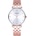 Radiant RA585203