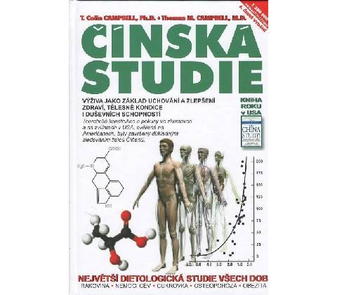 Čínská studie