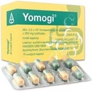 Yomogi cps.dur. 50 x 250 mg