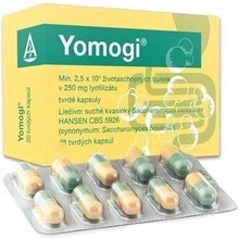 Yomogi cps.dur. 50 x 250 mg