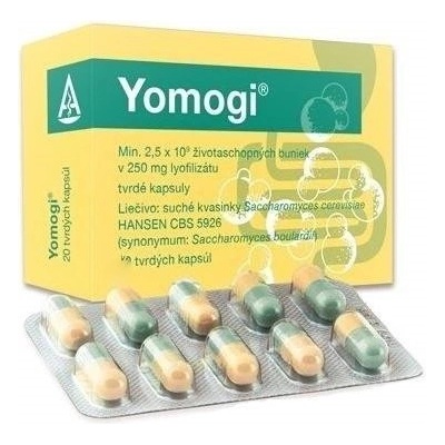 Yomogi cps.dur. 50 x 250 mg