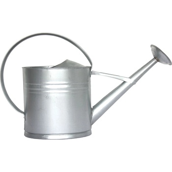 Esschert Design Градинска лейка за поливане в сребристо , 10 л New - Esschert Design (ZEE-OZ76)