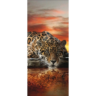Preinterier DV0038 Fototapeta na stenu Jaguar vlies 91cm x 211cm