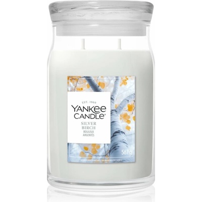 Yankee Candle Silver Birch 567 g