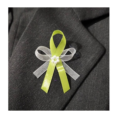 Vývazek zelený se šifonem – Zbozi.Blesk.cz