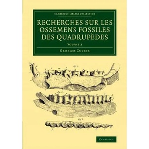 Recherches sur les ossemens fossiles des quadrupedes | Georges Cuvier (ISBN: 9781108083775)