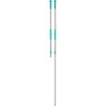 Kärcher ECO! Алуминиева телескопична дръжка, 97 - 184 cm (6.999-111.0)
