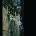 Dead Can Dance - Within the Realm of a Dying Sun (Reissue) (LP) (0652637362916)