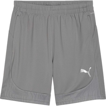 PUMA Teamfinal training shorts s