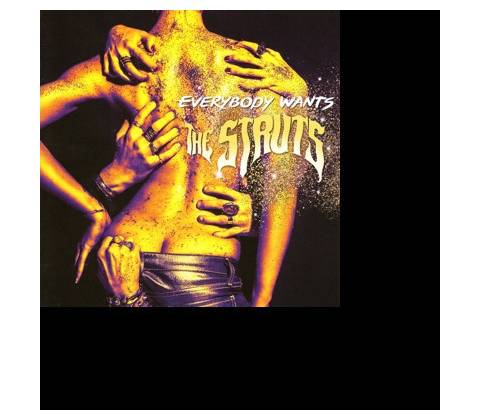 Everybody Wants - The Struts CD