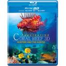 Fascination: Coral Reef 3D - Hunters and the Hunted 3D BD