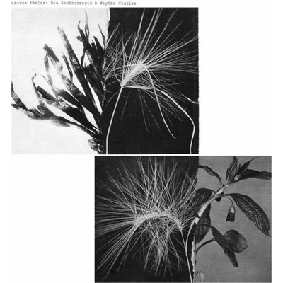 Andrew Pekler - New Environments & Rhythm Studies (LP)