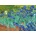 Enjoy - Puzzle Vincent Van Gogh: Irises - 1 000 piese