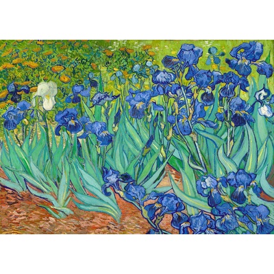 Enjoy - Puzzle Vincent Van Gogh: Irises - 1 000 piese