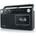 Muse M-152Rc