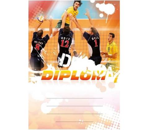 Diplom 6636