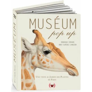 Muséum pop up | Ehrhard, Lemasson (ISBN: 9782361935672)