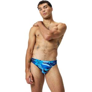 Speedo Бански print beachstar brief 2 (8-00393817931)