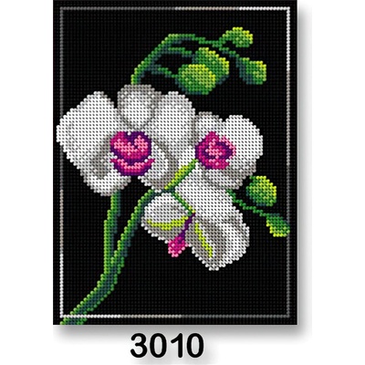 VTC Vyšívací předloha 70246 3010 orchidea bílo-černá 18x24cm – Hledejceny.cz